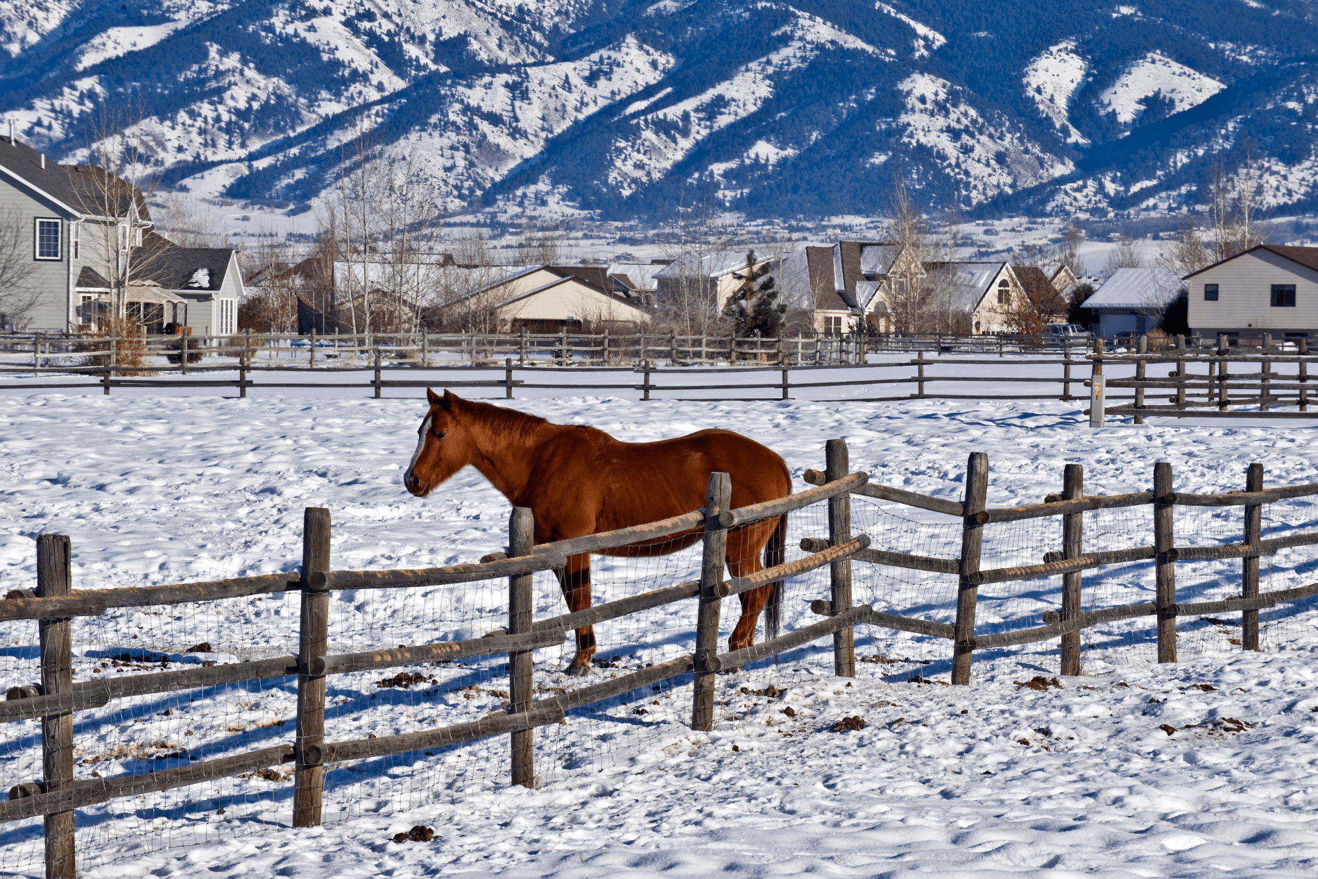 Bozeman Montana 