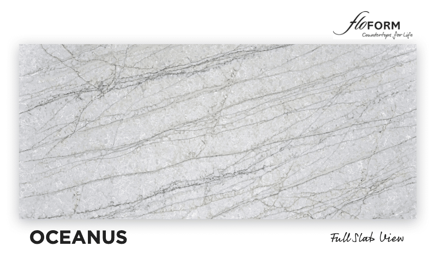 Screenshot 2026-02-18 at 11.49.24 AM