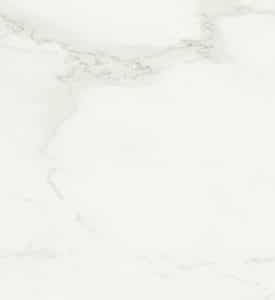 501 Snowdrift